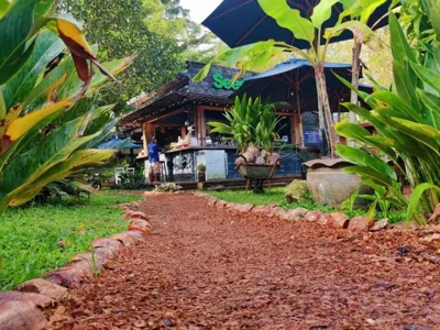 Habitación Doble Deluxe — The Willow Phangan